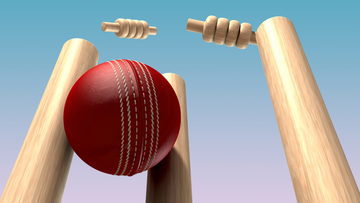 Cricket Ball Guide