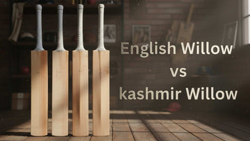 English Willow VS Kashmir Willow