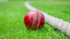 PNARRA 4-piece Cricket Leather Balls - Super County