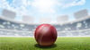 PNARRA 4-Piece Cricket Leather Balls