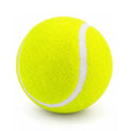 Cricket Hard Tennis Ball | PNARRA