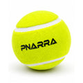 Cricket Hard Tennis Ball | PNARRA