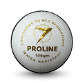 PNARRA PROLINE White Cricket Leather Ball