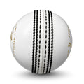 PNARRA PROLINE White Cricket Leather Ball