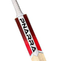 PNARRA Juniors Kashmir Willow Cricket bat | Limited Edition