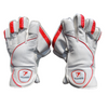 PNARRA Wicket Keeping Gloves