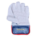 PNARRA Champion Wicket Keeping Gloves