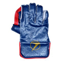 PNARRA Champion Wicket Keeping Gloves
