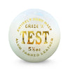 90 Overs Test Cricket Leather Ball - PNARRA