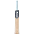 PNARRA Scoop - Tennis Cricket Bat