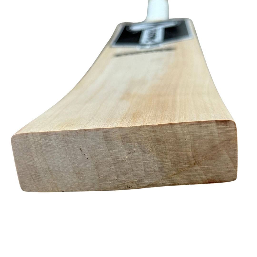 PNARRA Encore Kashmir Willow Cricket Bat