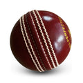 VINTAGE PRO Hand-Stitched Cricket Leather Ball | PNARRA