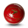 50 Overs Cricket Leather Ball - PNARRA